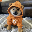 Dog (Bitcoin)